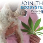 CannabizMDTileAd12