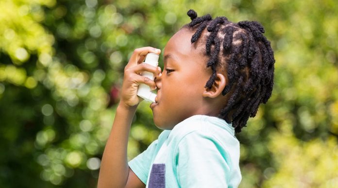 CBD MDI for Asthma Treatment