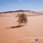 Treating Grief + Medical Cannabis The tumbleweed of grief