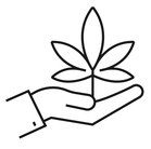 line drawing of a hand holding a leaf