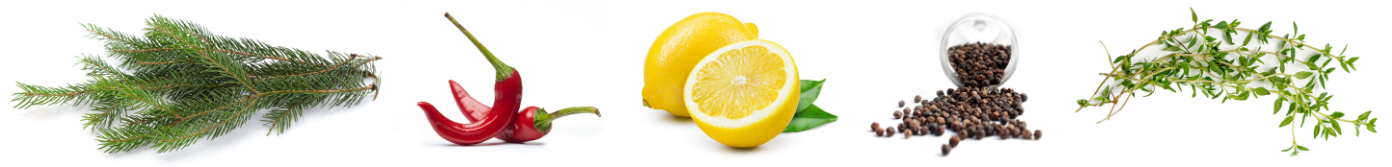 Common terpenes