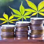 Navigating the Financial Landscape of the Cannabis Industry: The Harsh Reality Financing cannabis business
