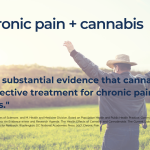 CannabizMD Webinar: Pain, Anxiety & Sleep - From Drug Interactions to Anesthesia Protocols