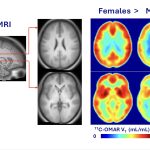AN EVEN DEEPER UNDERSTANDING WITH DR. ELISE M. WEERTS: Where Are the Women in Cannabis Science?